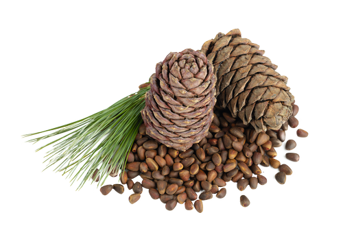 Кедровое масло